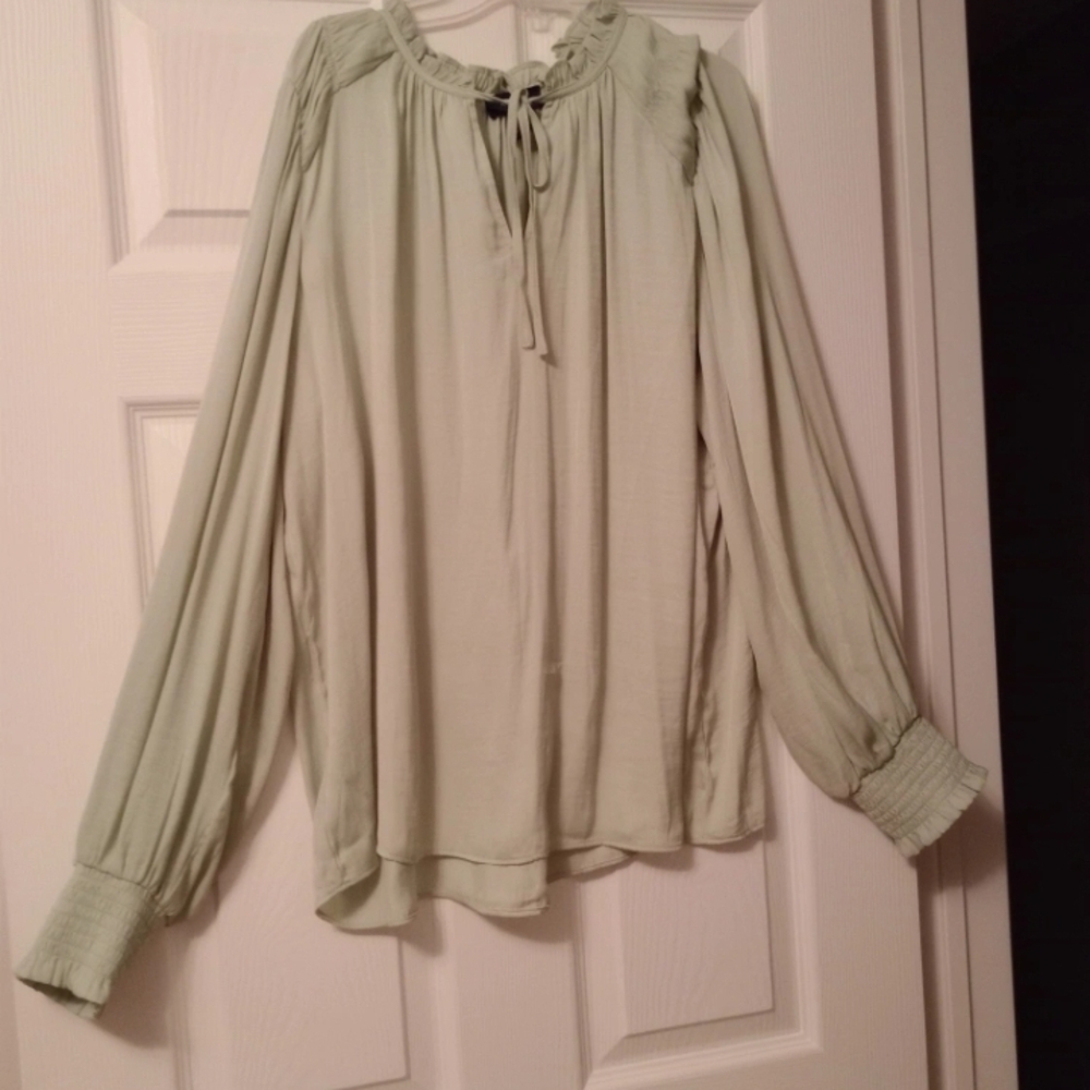 Rachel Pale Sage Long-Sleeve Tie-Neck Blouse